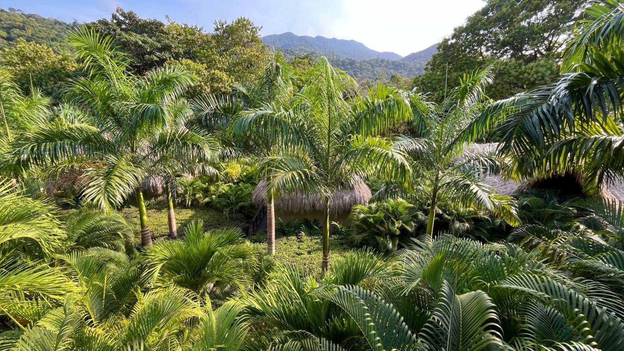 Senda Watapuy HotZaino Kültér fotó The Palm House